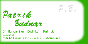 patrik budnar business card
